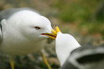 IMG_4977_filtered
