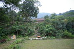 IMGP1033
