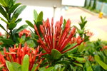 2006_04300020