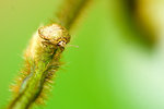 2006-4-1 - edited_2
