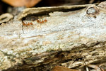 2006-4-9 - edited_4