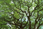 2006-4-23 - edited_1