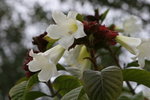 IMG_0503