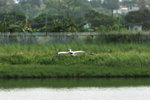 IMG_7769
