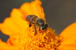 IMG_8031