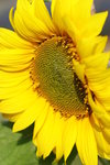 IMG_8059