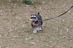 IMG_0183