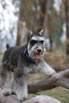 IMG_0232