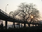 IMG_7619
