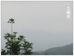 一支獨秀
