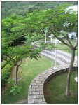 Garden in the morning