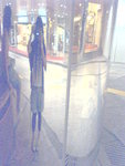 P10-13-05_21.15[1]