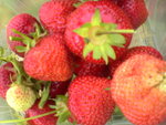 DSC01509