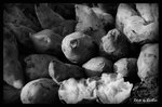 B&W - 蕃薯