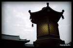 志蓮 - 志蓮燈 2