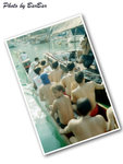 端午節2005 - 光