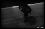 A Live - In the Rain 2