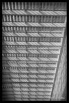 IMG_0490