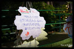 聖誕節2006 - 願 1