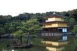 IMG_0447_DPP