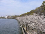 P1030515_調整大小