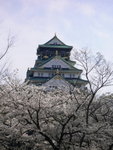 P1030534_調整大小