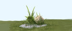 grass_and_stone
