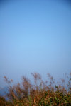 DSC_5332 CS2