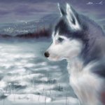 snow