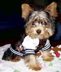 Denise_0110001_25_01_2006