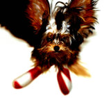 RS_0001DSC_04300001_five