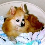 Snowy always be our little princess