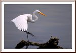 DSC_5741pf