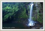DSC_0673.jpg