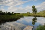 lsw_00290031