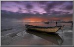 DSC_7727c