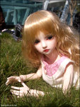 20061223003