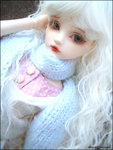 20061223011