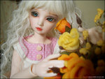 delia008