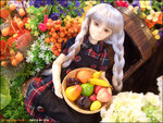 dp007