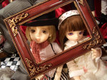 dp008