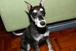 
19Mar05 My first Photo