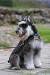 IMG_0530