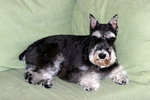 IMG_0021