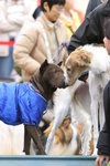 IMG_0051