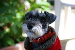 2006-12-17 下午 01-06-38_0002