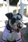 2006-12-17 下午 01-06-53_0004