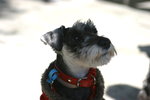 2006-12-17 下午 01-10-55_0019