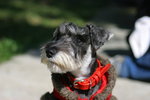 2006-12-17 下午 01-11-21_0022