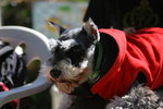 2006-12-17 下午 01-17-51_0055